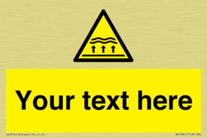 Custom Warning: Flood zone